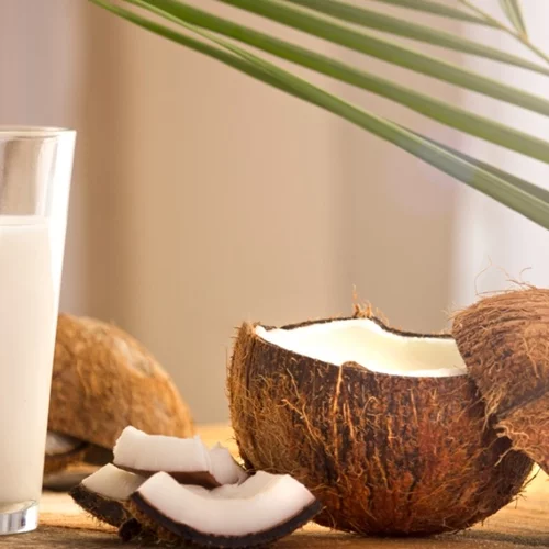 Survivor All Star: Μπορείς να τρέφεσαι μόνο με καρύδα;