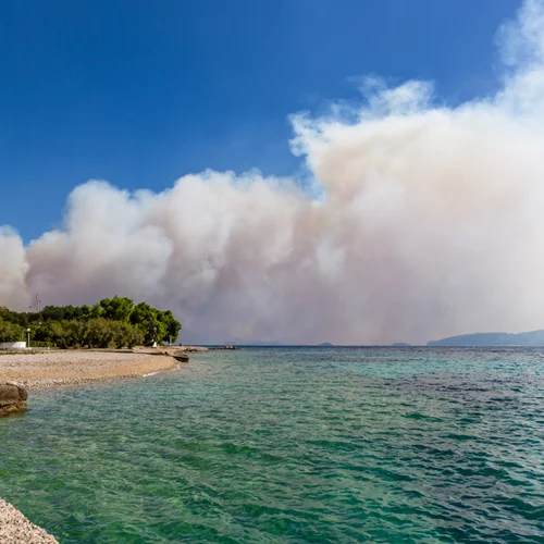 Πώς ο καπνός από τις πυρκαγιές επηρεάζει τον οργανισμό και πώς μπορείς να προστατευτείς;