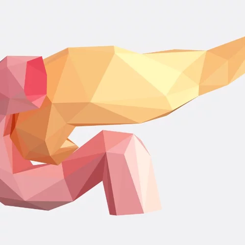 Τι είναι η οξεία παγκρεατίτιδα, τι την προκαλεί και η θεραπεία