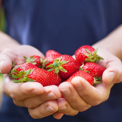 7 λαχταριστά προϊόντα ομορφιάς που θυμίζουν φρούτο εποχής