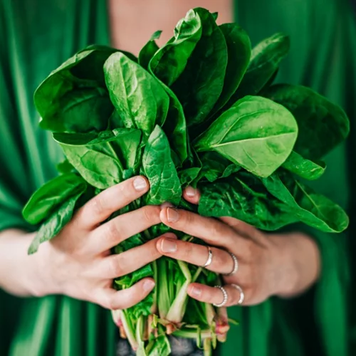 Χαμηλός αιματοκρίτης: Διατροφή για την αναιμία