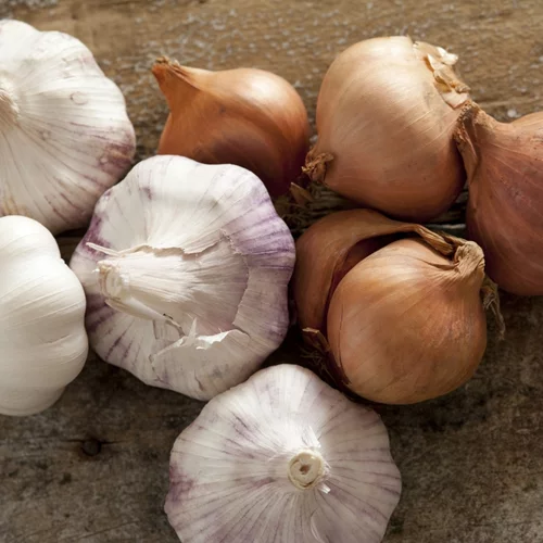 Σκόρδο ή κρεμμύδι; Μάθε τα οφέλη τους και δες ποιο σου ταιριάζει