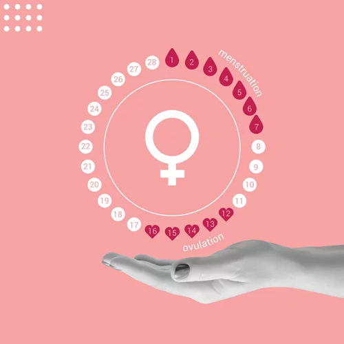 Υποθαλαμική αμηνόρροια | Πώς η Cynthia Donovan βοήθησε την Εριέττα Κούρκουλου να ανακτήσει τον κύκλο της