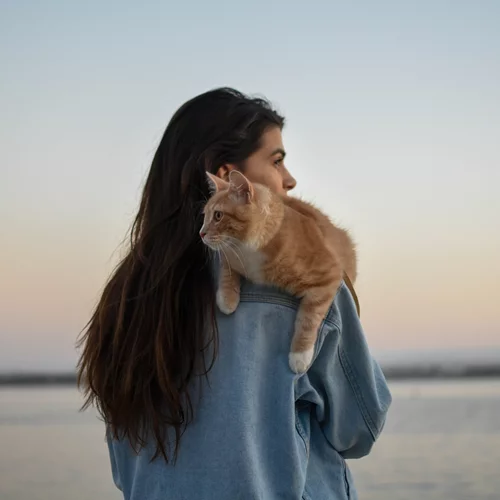 10 πάρα πολύ καλοί λόγοι για να υιοθετήσεις μια γάτα