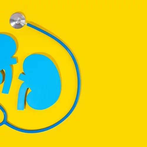 5 τρόποι να προστατέψεις τα νεφρά σου από τη ζέστη