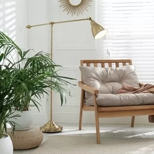 4 φυτά εσωτερικού χώρου που θα μετατρέψουν το σπίτι σου σε "όαση" δροσιάς το καλοκαίρι