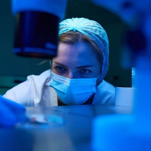 Επιστήμονες δημιούργησαν πρότυπο έμβρυο χωρίς ωάριο και σπέρμα