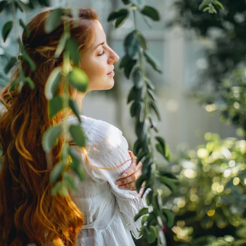 Τα 8 βότανα που κάνουν detox και σε κρατούν υγιή