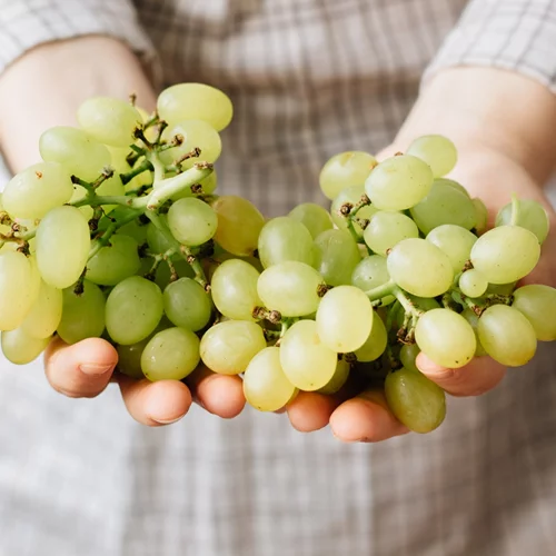Σταφύλια: 6 λόγοι για να τα προσθέσεις στη διατροφή σου