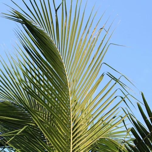 Τα ζώδια σήμερα 11/7: Ημερήσιες προβλέψεις για κάθε ζώδιο