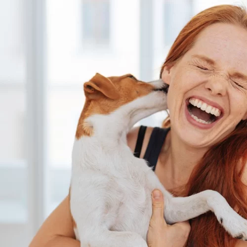 Παγκόσμια ημέρα ζώων: Μένεις μόνη; Πάρε σκύλο!
