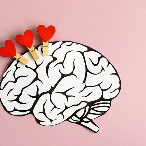 Επιστήμονες ανακάλυψαν το 'κέντρο της αγάπης' στον εγκέφαλο