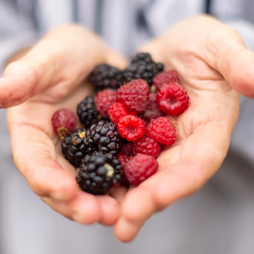 Berrylicious! Tα οφέλη των μούρων και μερικές ιδέες για να τα καταναλώσεις