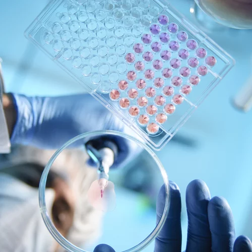 Pharma Media Day 2024: Η Bayer παρουσίασε τις πιο πρόσφατες εξελίξεις στον μετασχηματισμό του Τομέα Φαρμάκων