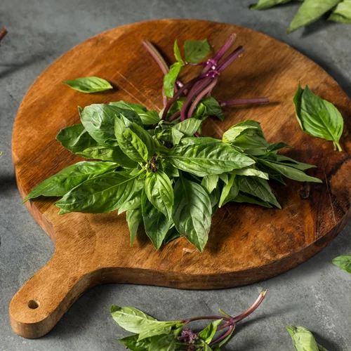 Το αγχολυτικό μυρωδικό που το βρίσκεις παντού!