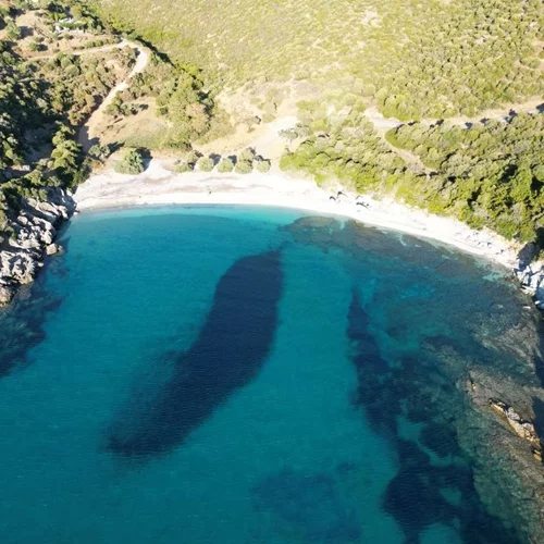 Η φανταστική παραλία της Εύβοιας που δεν έχει ποτέ κύμα