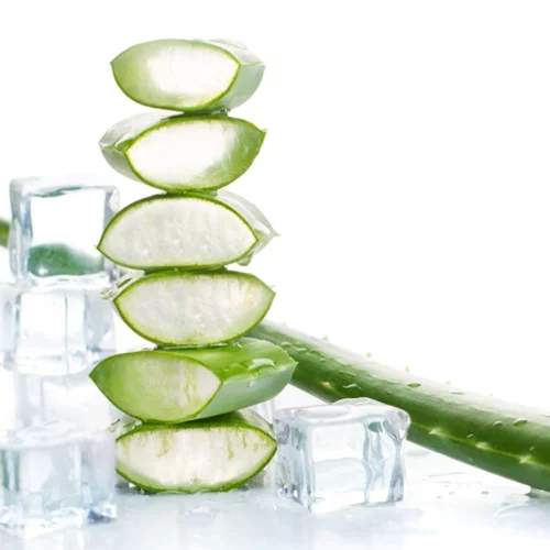 Τα παγάκια με αλόη θα σε σώσουν φέτος το καλοκαίρι!