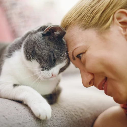 Τελικά οι γάτες κάνουν καλό στην υγεία μας;