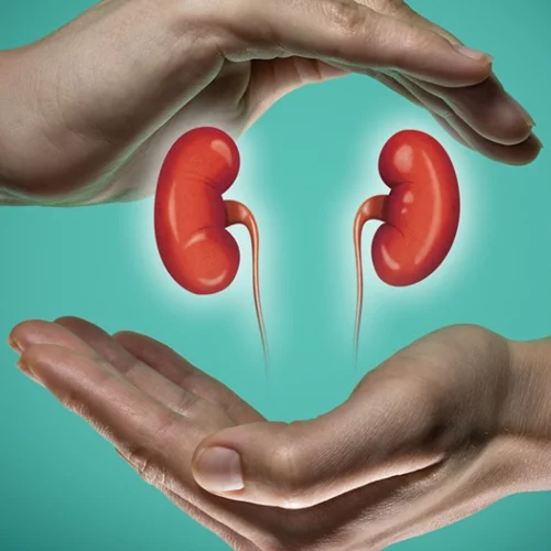 Καρκίνος του νεφρού: Θετική γνωμοδότηση της ΕΕ για νέα θεραπεία για το νεφροκυτταρικό καρκίνωμα