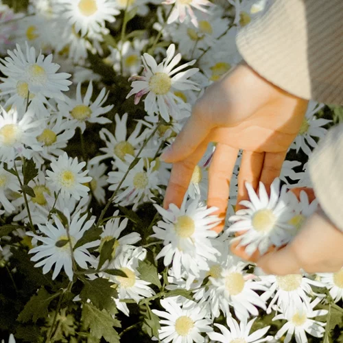 Μπορείς να λυγίζεις, αλλά να μη σπας;