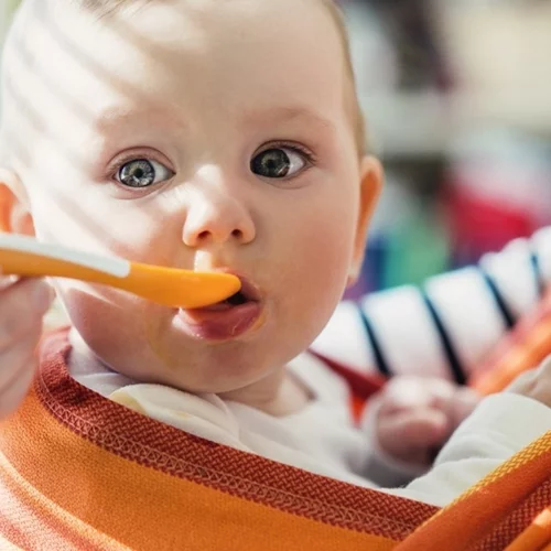 Αλεσμένες τροφές: Είναι τελικά απαραίτητες στα βρέφη;