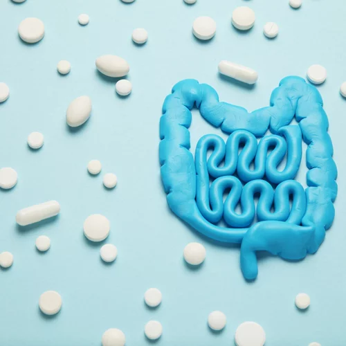 Ποιες βιταμίνες παράγει το έντερό μας; Πώς να τις ενισχύσεις