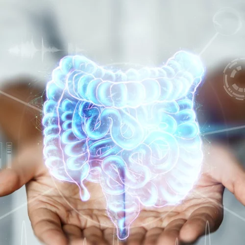 Το μικροβίωμα ως "ξεχωριστό" όργανο: Πώς θα το διατηρούμε υγιές;