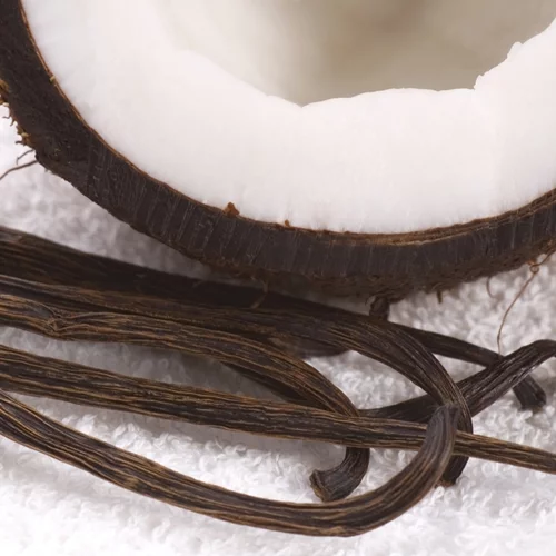 Μυρίζουν καλοκαίρι: Τα ωραιότερα αρώματα με νότες βανίλιας και καρύδας