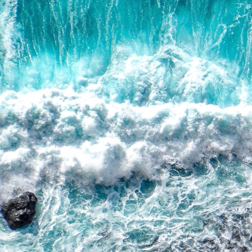 H weDo/ Professional γιορτάζει την Παγκόσμια Ημέρα Ωκεανών