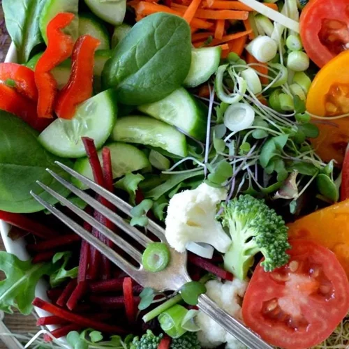 H δίαιτα που βελτιώνει την υγεία του εντέρου