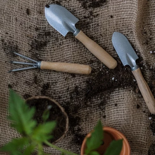 Πώς η κηπουρική μπορεί να βελτιώσει την υγεία σου