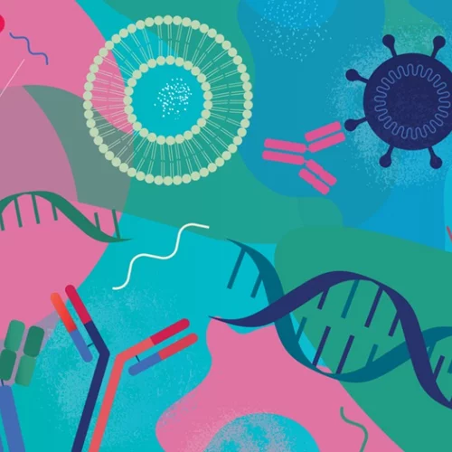 Επικαιροποιημένα εμβόλια κορονοϊού: Ποιο προτείνεται ανάλογα με το μήνα που νοσήσαμε