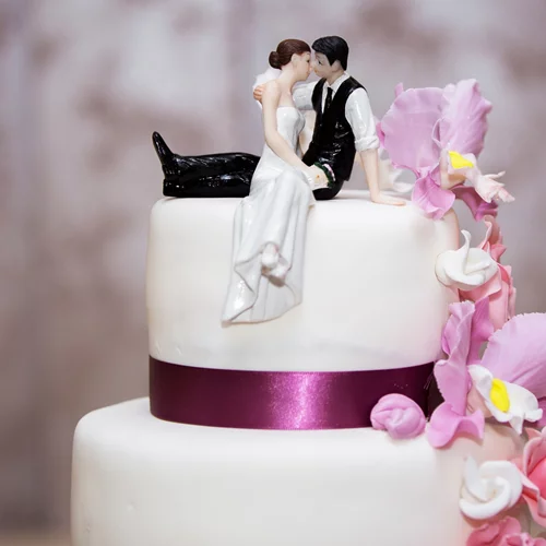 9 φράσεις που θα σώσουν τον γάμο σου | Τις προτείνει ψυχολόγος του Χάρβαρντ