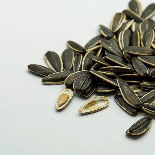 Ηλιόσπορος: 8 λόγοι για να αγαπήσεις αυτόν το σπόρο