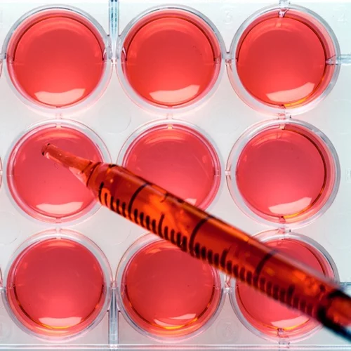 Χορήγηση πλάσματος ως θεραπεία για τον κορονοϊό: Την έγκρισή της ανακοίνωσε ο Ντόναλντ Τραμπ