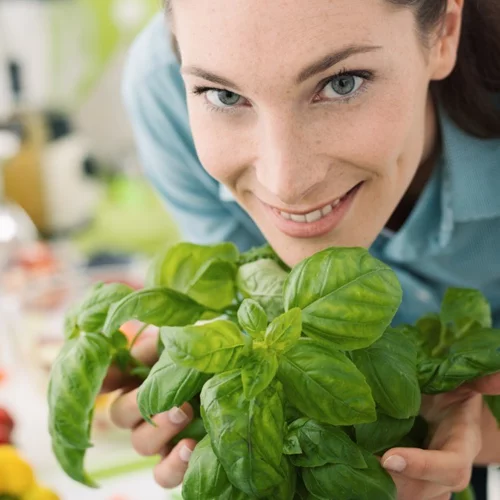 Ώρα για κηπουρική: τι να φυτέψεις τώρα