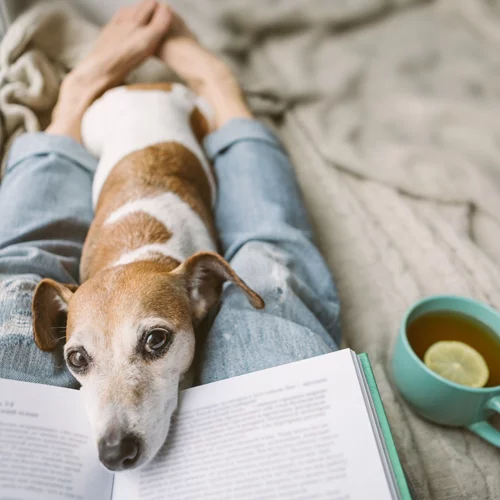 Η καθιστική ζωή είναι ασθένεια! Πάρε τα μέτρα σου