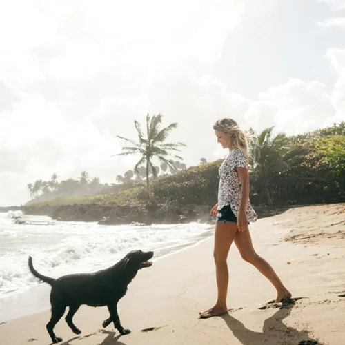 4 καλοί λόγοι για βόλτα με τον σκύλο σου σήμερα