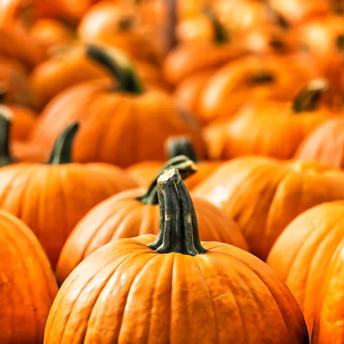 5 λόγοι να φας κολοκύθα ΤΩΡΑ (ναι, ξεκινάει η εποχή της!)