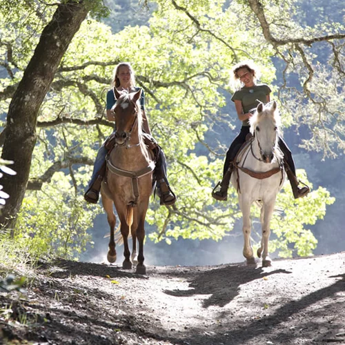 Έχεις δοκιμάσει ιππασία; Δες πού θα κάνεις και τι σου προσφέρει