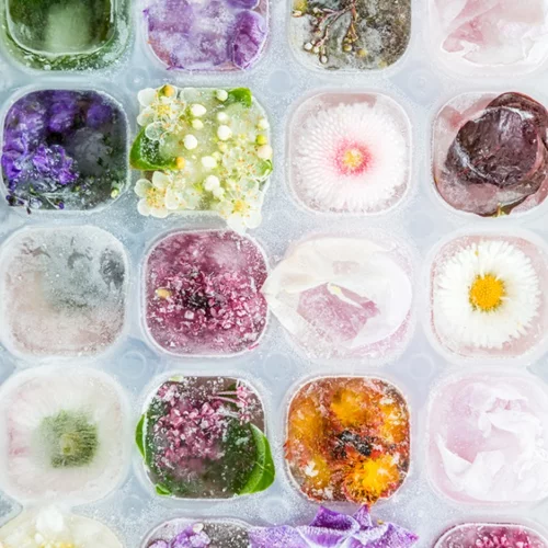 Cool ιδέα: Φτιάξε παγάκια με λουλούδια εύκολα!