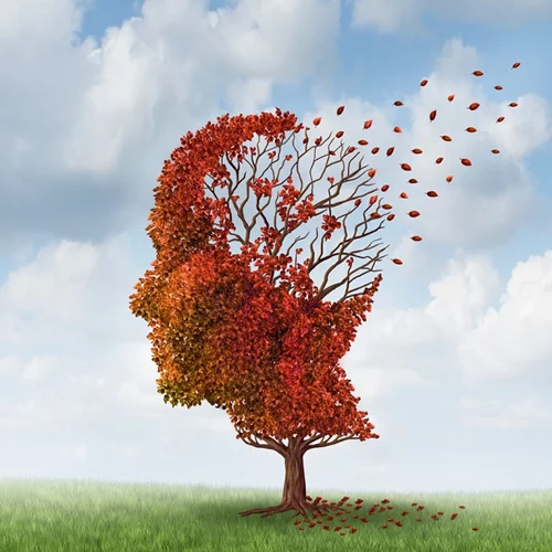 Μπορείς κι εσύ να στηρίξεις τις δράσεις της Alzheimer Hellas