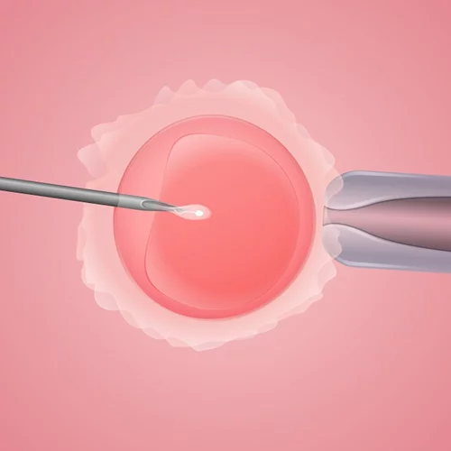 Δωρεά ωαρίων και εμβρύων: Τι πρέπει να γνωρίζεις;