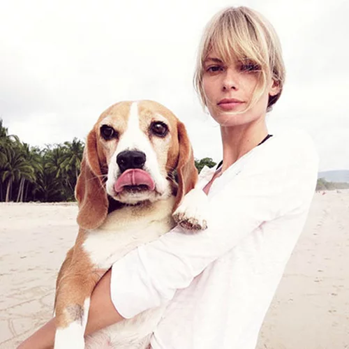 Πώς θα προστατέψεις το κατοικίδιο σου από το κρύο