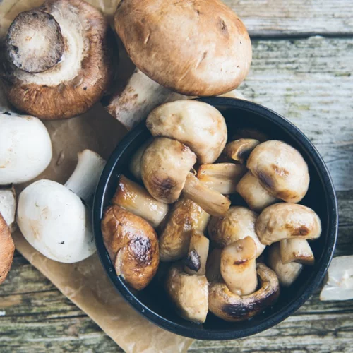 Δηλητηριώδη μανιτάρια: Τι να προσέχεις για να μην πάθεις επικίνδυνη δηλητηρίαση