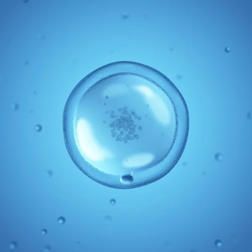 Κατάψυξη ωαρίων: Όσο νωρίτερα, τόσο καλύτερα