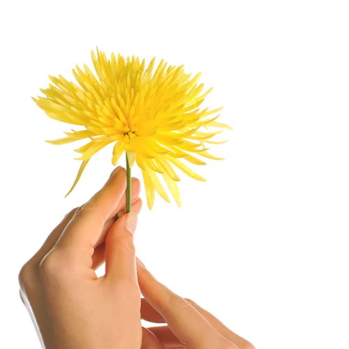 Ξέρεις τι είναι το σκληρόδερμα; Μάθε τα πάντα για τη νόσο που προτιμά τις γυναίκες!