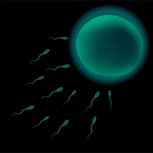 Σπερματέγχυση: Η προσιτή λύση πριν την εξωσωματική