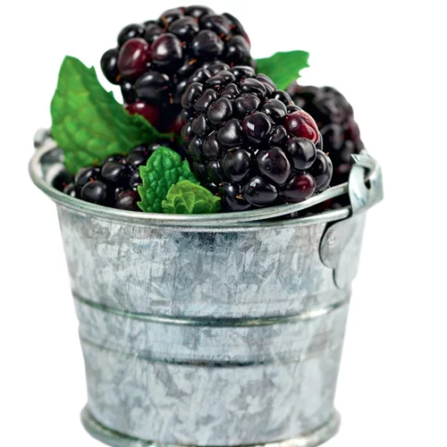 Να πώς θα κάνεις τα βατόμουρα τουρσί και βινεγκρέτ!