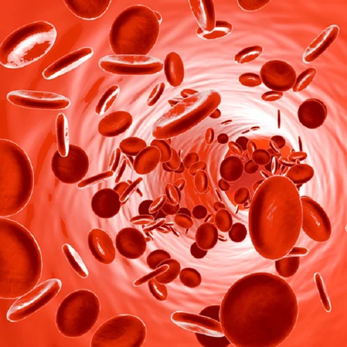 Μάθε τις νεότερες εξελίξεις στη θεραπεία των αιματολογικών κακοηθειών (λευχαιμία και λέμφωμα)